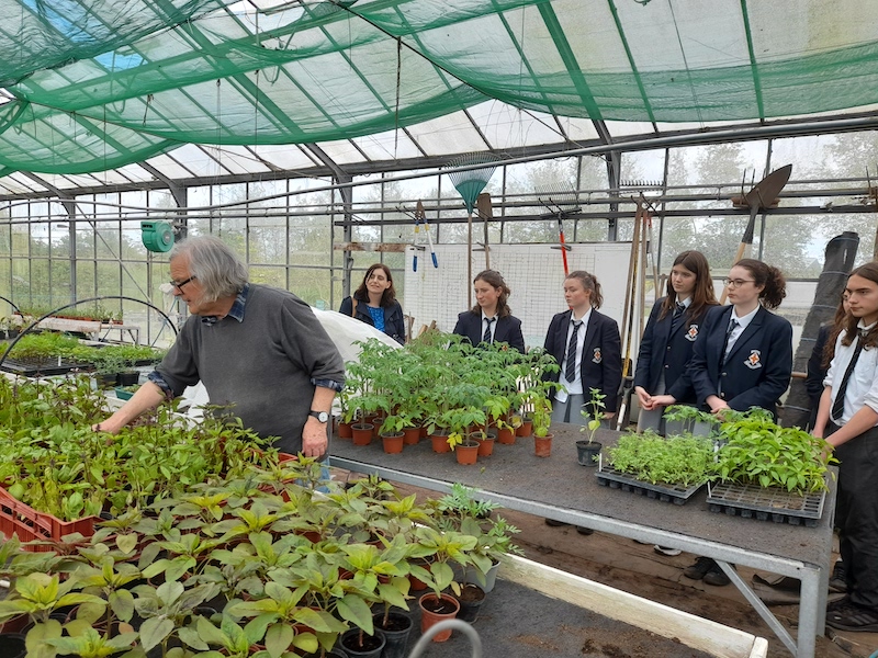 Read more about the article A Day of Discovery: Horticultural Exploration at Ballymaloe Gardens