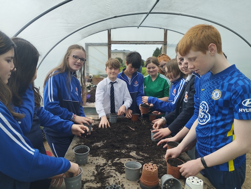 Read more about the article A Blooming Success: Form 1’s Participation in May Day for Sustainability